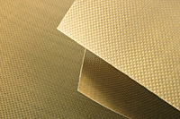 Kevlar® fabric Coated with PTFE